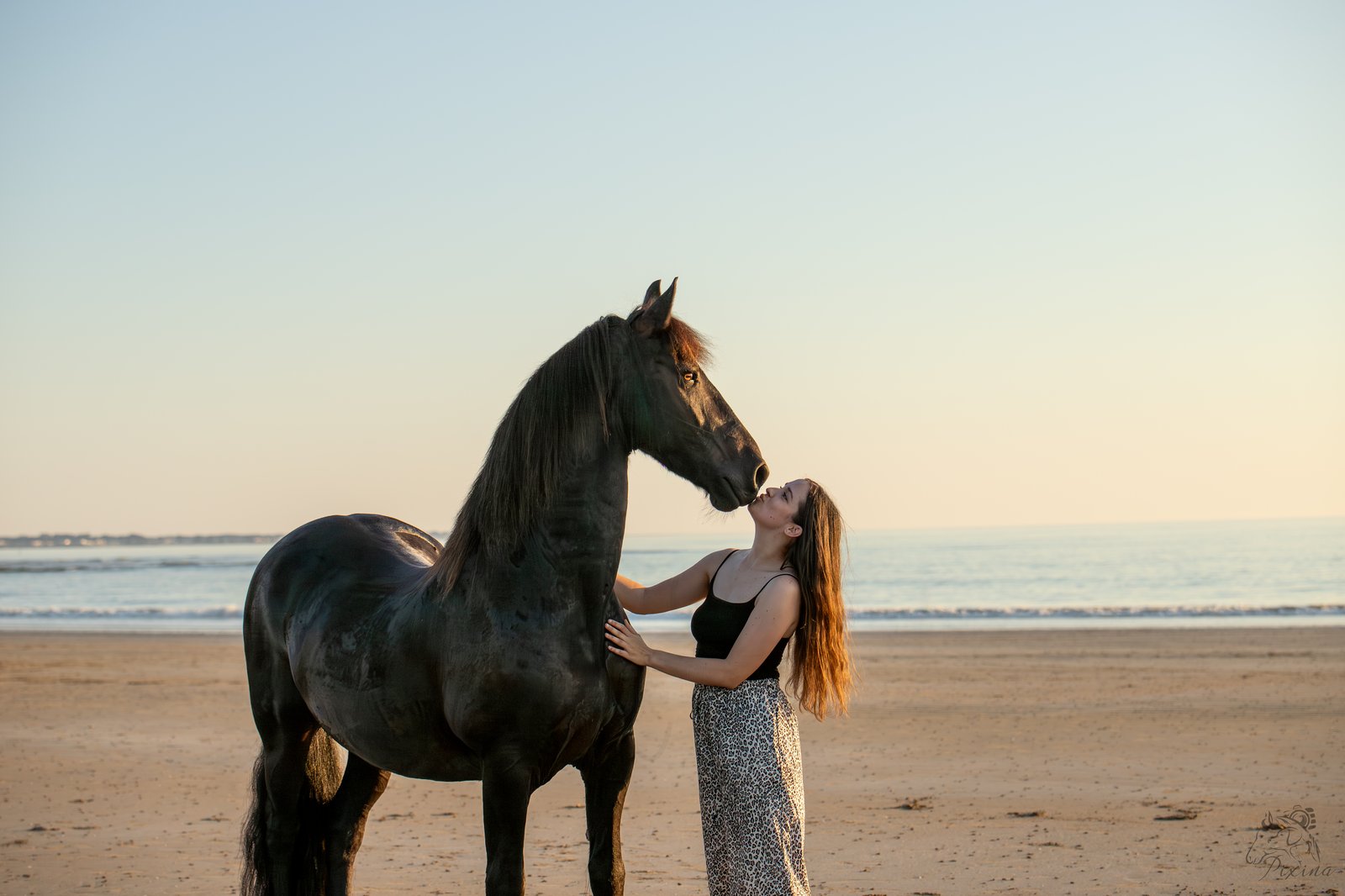 Femme et cheval frison sur la plage près de La Baule