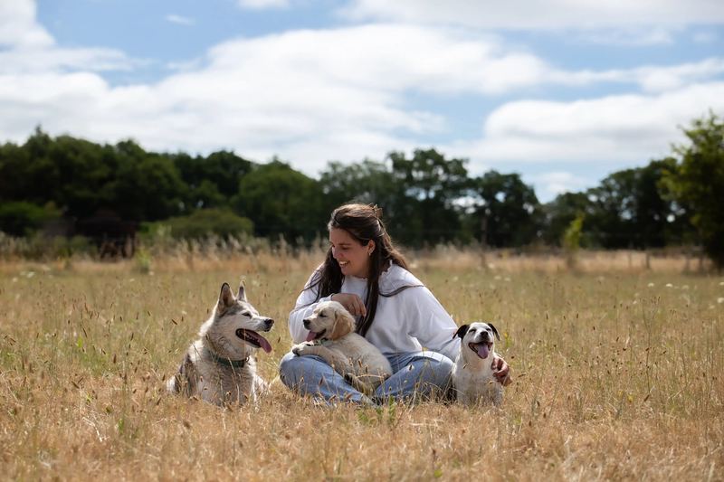 Femme entourée de trois chiens dans un champ