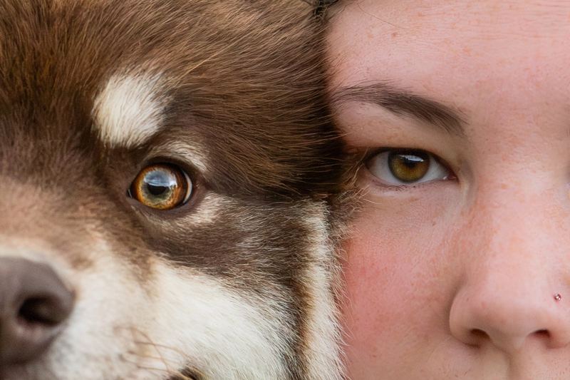 Regard croisé entre un chien et une femme