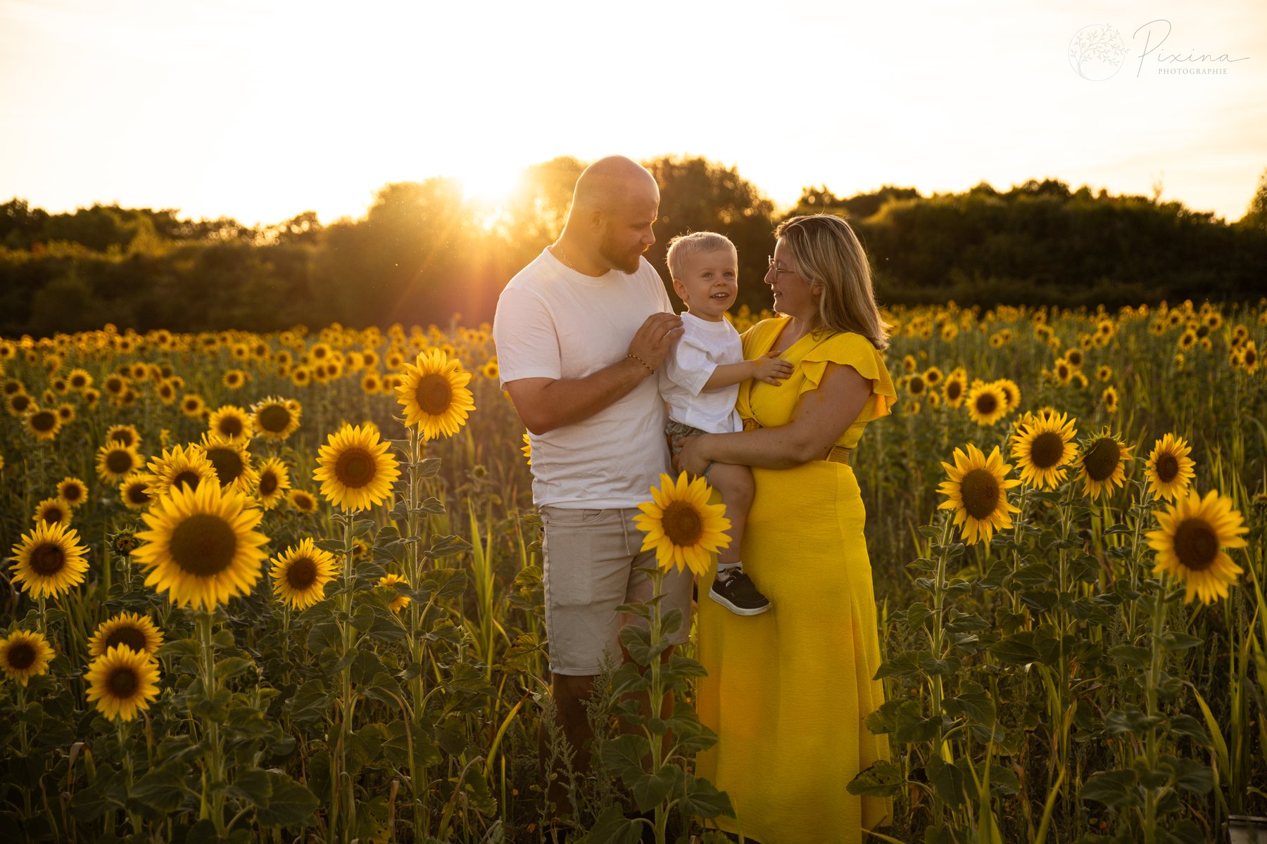 Famille dans un champ de tournesols